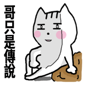 chao hu cat part9