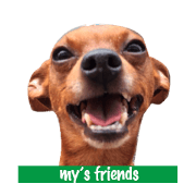 my's friends