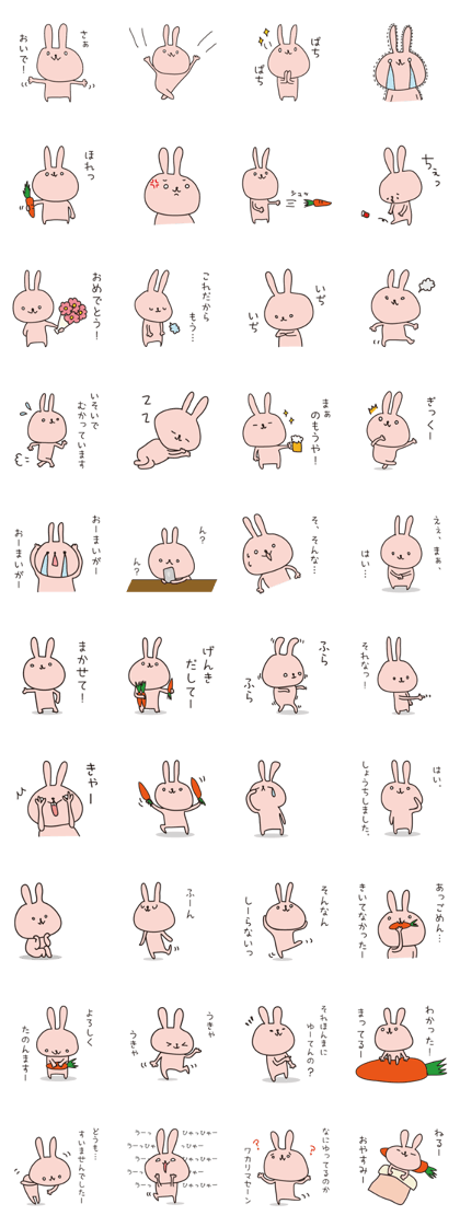 "U-san" of rabbit