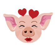Paulie The Piglet!!!