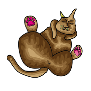 Male stray cat