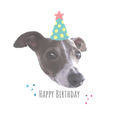 Bella_20210215141303