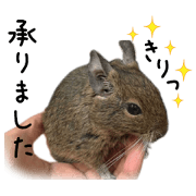 Degu pattern Stickers OT