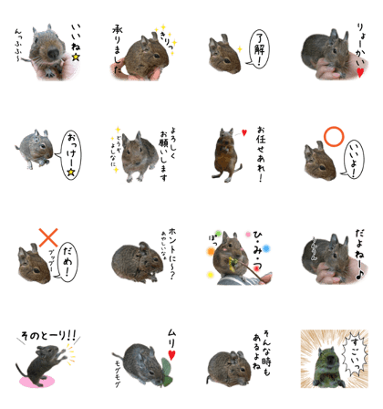 Degu pattern Stickers OT