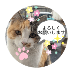 NATSUMI_20210215144422