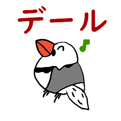 Java sparrow Dale