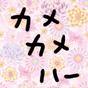 kamekame
