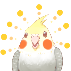 Cockatiel having fun