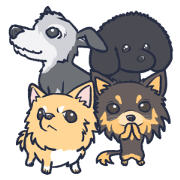 ONE RISE Staff dogs