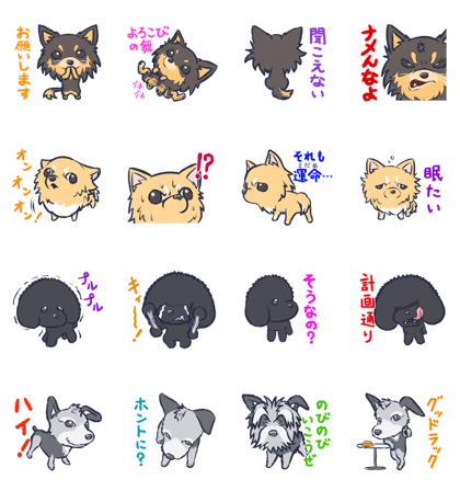 ONE RISE Staff dogs