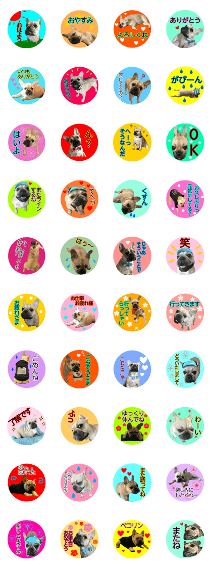 all dog photo sticker miryi