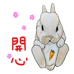 Bunny hand drawn language