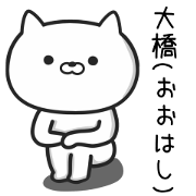 CAT FOR OOHASHI