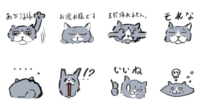grayCatDa