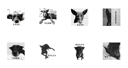 MARS-A DOG