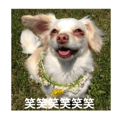 suzu_20210215184312