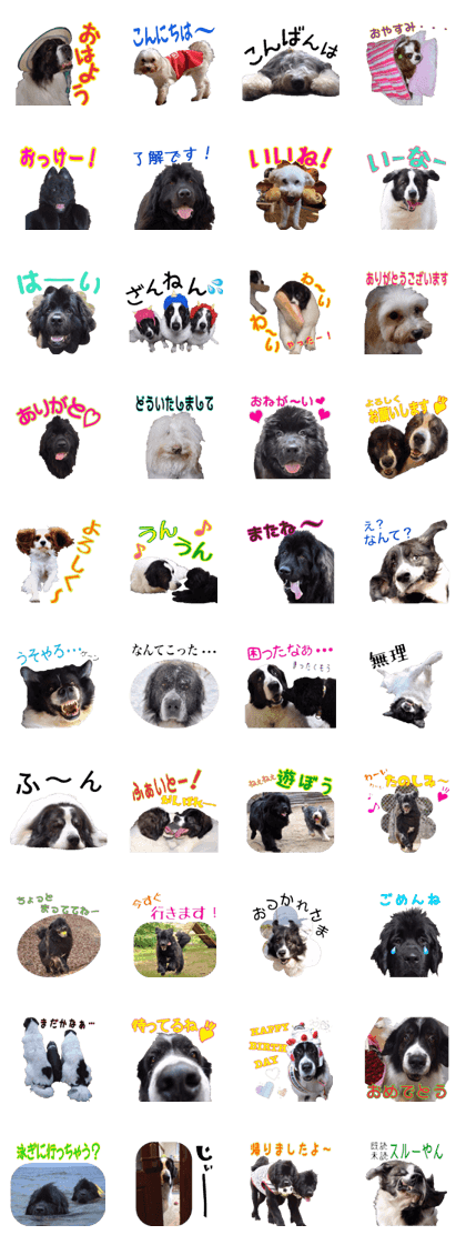 my family Black and White