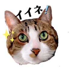 ayumi_20210215212523