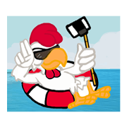 G-chicken on the beach