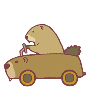 Happy brushy Groundhog Day