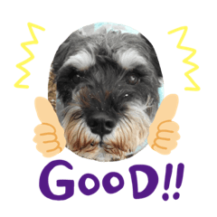 mydog'sstamp