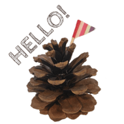 with pinecone.