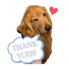 Hikari_20210215202559