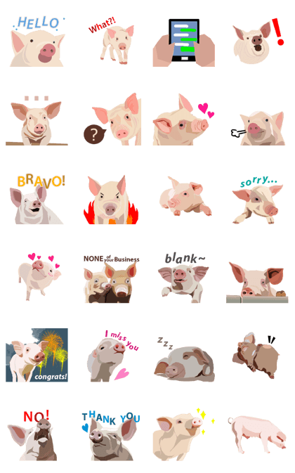 Pigs' Story