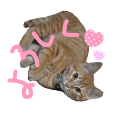 nanami_20210215220039