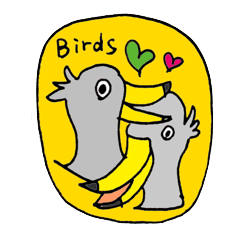 world birds