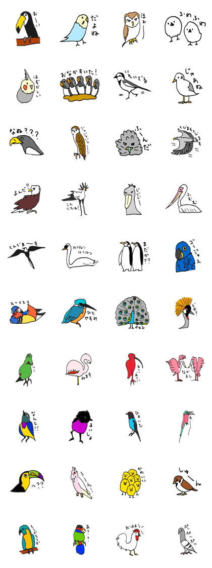 world birds