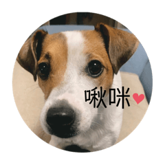 黃小樂的日常