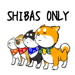 SHIBAS ONLY