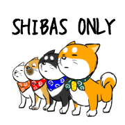 SHIBAS ONLY
