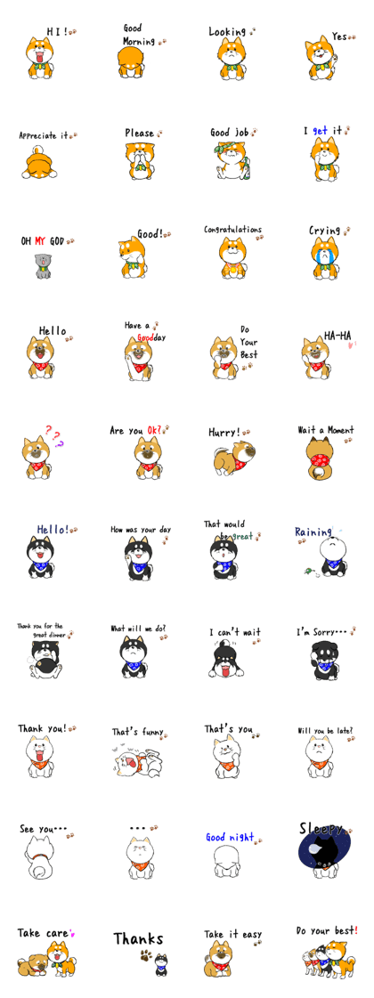 SHIBAS ONLY