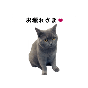 Age Taro's sticker