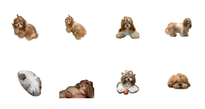 littlepuppy