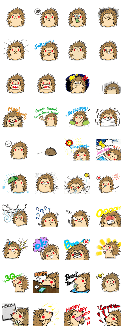 Hedgehog Mr. Kojiro's daily life