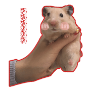 yogurt hamster~~~~