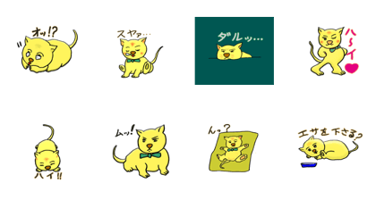 MUU house cat "Prima"