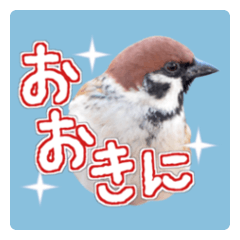 sparrow in Osaka (wild bird sticker 2)