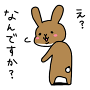 Cute lovely rabbit