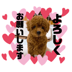 ayumi_20210216123708