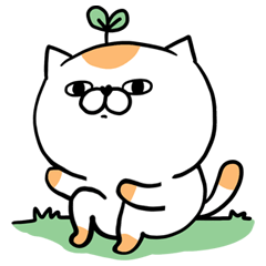 Orange Cat Mikan: everyday (no text)