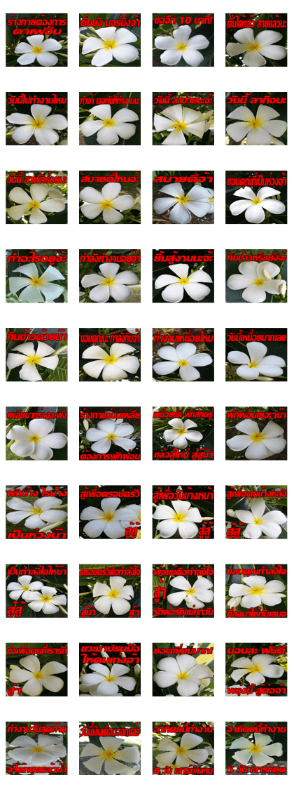 Plumeria of happiness cheer in factory