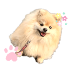 MIZUKI_20210216154928