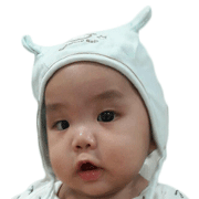 Nhongping the monkey