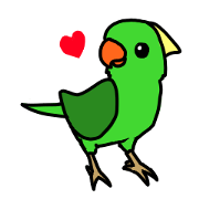 Parrot Bird