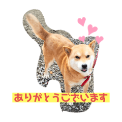 akiko_20210216154717