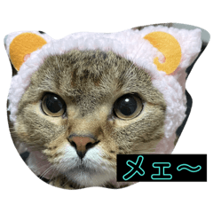 KICHI_20210216142816